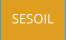 SESOIL